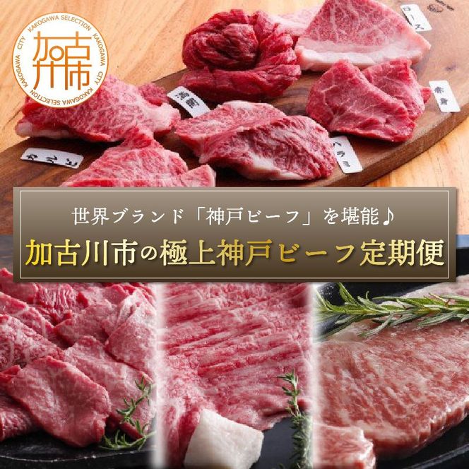 世界ブランド「神戸ビーフ」を堪能♪加古川市の極上神戸ビーフ定期便《 神戸牛 ふるさと納税 自社牧場直送 神戸牛 肉のヒライ 食べ比べ焼肉 焼肉用 すき焼き・しゃぶしゃぶ用 サーロインステーキ 焼肉 しゃぶしゃぶ ステーキ 食べ比べ 》【2430A00123】