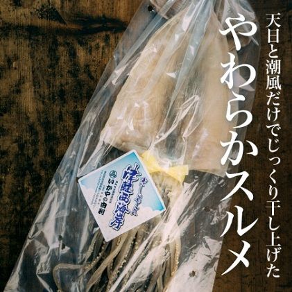 生干しイカと焼きイカ真空パック、やわらかスルメセット 魚貝類 加工品 惣菜 冷凍 