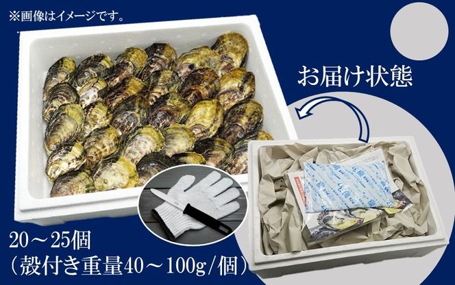 牡蠣 生食用 殻付き くにさきオイスター 20～25個（殻付き重量40～100g/個） 【オイスターナイフ付き】 カキ oyster 生牡蠣　_2113R-2