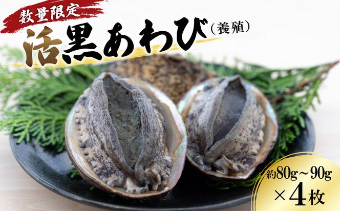 【数量限定】活黒あわび（養殖）NA00002