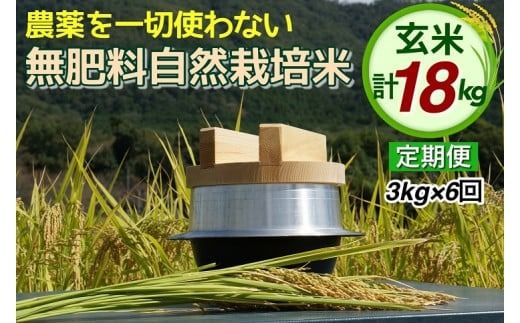 米 定期便 令和6年産 自然栽培米 にこまる ＜農薬を一切使わない無肥料栽培＞ 玄米 3kg × 6ヶ月 18kg 《新米 京都丹波産 無農薬米栽培向き 厳選品種 6回お届け》