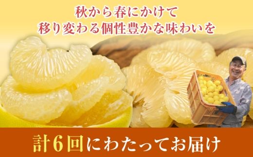 【6回定期便】文旦＆小夏バラエティ定期便 土佐の柑橘フルコース〈水晶文旦・温室文旦・土佐文旦・甘熟とさ小夏・土佐小夏〉/ 文旦 ぶんたん ブンタン 土佐文旦 水晶文旦 温室文旦 柑橘 フルーツ 果物 くだもの 定期便【白木果樹園】 [BQAI062]