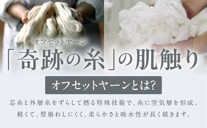 G2686 【TVで紹介！】おぅ！え～やん バスタオル（グレー）2枚【泉州タオル 国産 吸水 普段使い 無地 シンプル 日用品 家族 ファミリー】