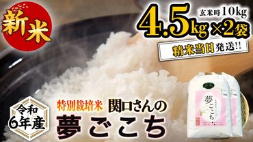 《 特別栽培米 》 令和6年産 精米日出荷 関口さんの「 夢ごこち 」 4.5kg × 2袋 ( 玄米時 10kg ) 新鮮 精米 米 こめ コメ 特別栽培農産物 認定米 新米 [AM098us]