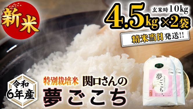 《 特別栽培米 》 令和6年産 精米日出荷 関口さんの「 夢ごこち 」 4.5kg × 2袋 ( 玄米時 10kg ) 新鮮 精米 米 こめ コメ 特別栽培農産物 認定米 新米 [AM098us]