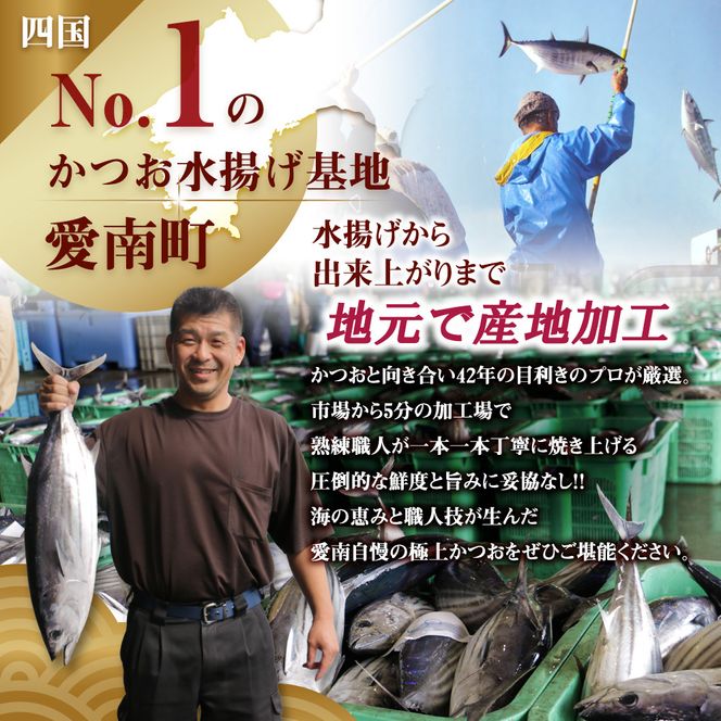 【7日以内発送】 高評価 訳あり かつおのたたき 2.5kg 鰹のたたき カツオのたたき カツオのタタキ かつおのたたき 鰹のタタキ 鰹のたたきカツオたたき 鰹たたき ふるさと ふるさと納税 訳あり 訳アリ わけあり ワケアリ かつお カツオ 鰹 かつおたたき 鰹タタキ カツオたたき かつおタタキ サイズ 不揃い 規格外 傷 小分け 真空 パック 新鮮 鮮魚 天然 鰹 四国一 水揚げ タタキ 肉 厚 冷凍 大容量 人気 ハマスイ 愛南町 愛媛県 愛南町 愛媛県