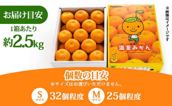 【2回定期便】山北温室みかん 2.5kg Wku-0061
