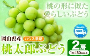 岡山県産桃太郎ぶどう 2房（480g以上）ハウス栽培 先行受付 《7月中旬-8月下旬頃出荷》【配送不可地域あり】---H-67---