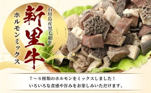 石垣島産 黒毛和牛 新里牛 ホルモンミックス(500g×２) 合計1kg SZ-23