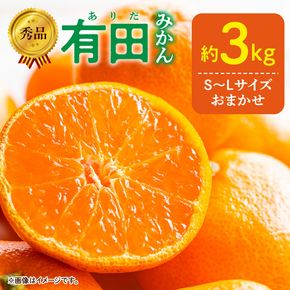 【2026年11月発送】秀品 有田みかん 和歌山県産 S～Lサイズ 大きさお任せ 約3kg_DZ6009n_11