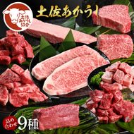 【CF-R7hbk】土佐あか牛協会が認定する「土佐熟成あかうし」詰め合わせ9種（合計6.6kg）サイコロステーキ ロース カルビ スネ ヒレ シャトーブリアン サーロイン ブロック肉 特選 赤身 牛 牛肉 和牛 国産 天下味 エイジング工法 熟成肉