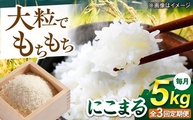 【全3回定期便】 にこまる 玄米品質1等米 白米 5kg 糸島市産 糸島市 / 糸島の恵み コメ こめ ご飯[AGR008]