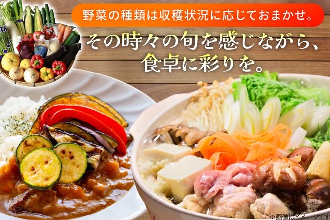 AJ314 季節の野菜・果物セット 8～10品 しそジュース付き [ 野菜 詰合せ 長崎県 島原市 ]