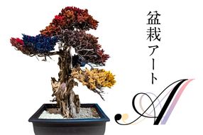 盆栽アート【A】【0120-001】	