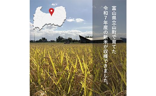【令和7年産】精米 ヘルジアンウッド米 5kg 富山県産コシヒカリ 精米 国産 米 お米 日本米 ギフト 贈り物 食品 F6T-1020