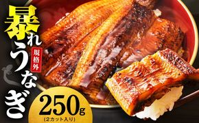 G3973 【規格外】うなぎ 暴れ盛り 250g（2カット）【お試し 鰻 かば焼き 簡単調理 訳あり サイズ不揃い 人気 惣菜 うな重 うな丼 ひつまぶし】