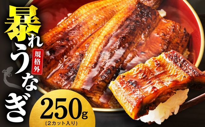 G3973 【規格外】うなぎ 暴れ盛り 250g（2カット）【お試し 鰻 かば焼き 簡単調理 訳あり サイズ不揃い 人気 惣菜 うな重 うな丼 ひつまぶし】