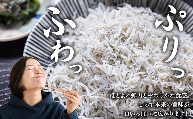 しらす 【天使の宝石】特選 釜揚げしらす 約560g 70g×8パック 特選 小分け 国産 ちりめんじゃこ 離乳食 しらす シラス 稚魚 魚介 魚 海産物 釜茹で ドロメ しらす丼 料理 ご飯のお供 カワクボFACTORY 高知県 香南市 fa-0002