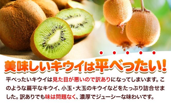 先行予約 ご家庭用 キウイ フルーツ 約1kg 約2.5kg 約5kg 各＋250g (傷み補償分) 池田鹿蔵農園@日高町（池田農園株式会社）《11月中旬～2027年4月下旬出荷》【配送不可地域あり】和歌山県 日高町 わけあり 訳あり 扁平果---wsh_idn380_11c4g_26_6000_1kg---