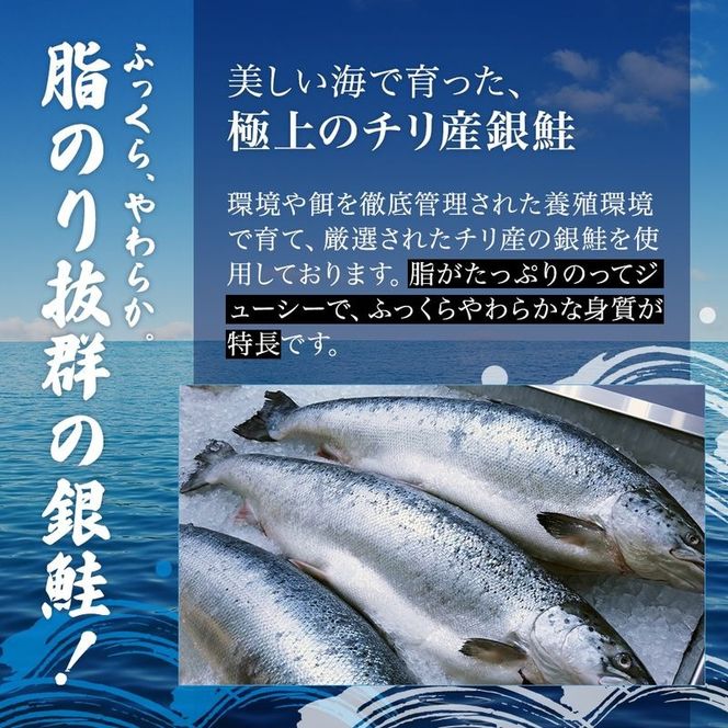 【 3ヶ月 連続 定期便 】訳あり 銀鮭 切り身 1.4kg セット 詰め合わせ 鮭 サケ