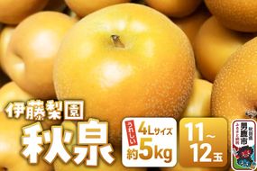 【先行受付】 男鹿梨 秋泉 梨 約5kg「伊藤梨園」  4L 11玉～12玉 秋田県 男鹿市|23_itn-040501