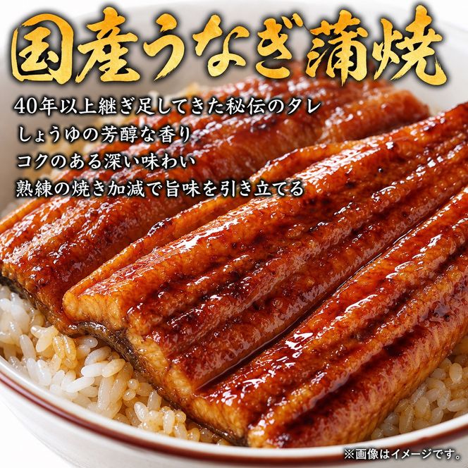 【定期便 全3回】紀州和歌山うまいもんセットC（生まぐろ・うなぎ蒲焼・熊野牛）【UT127】 303446_XF91167