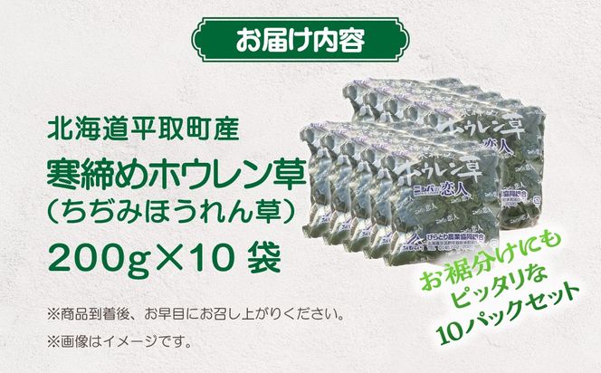 【先行予約/2026年12月上旬以降発送】【北海道平取町産】寒締めホウレン草（ちぢみほうれん草）200g×10袋 BRTO003