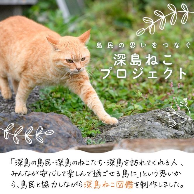 深島ねこ図鑑vol.3 (1冊) 猫 ねこ 写真集 本 雑誌 書籍 深島 猫の島 グッズ 大分県 佐伯市 【HD238】【さいき本舗 城下堂】