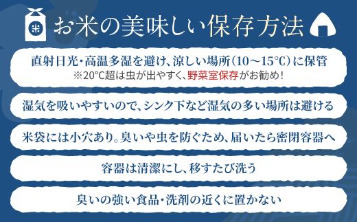 FYN2-484 【3回定期便・9月前半発送】令和7年産 山形県産 はえぬき 20kg 無洗米 2025年 お米 米 米米 ごはん ご飯 白米 国産 ブランド米 節水 時短 冷めてもおいしい お取り寄せ 食品 山形県 西川町 月山