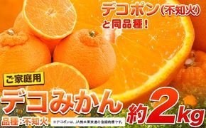 ご家庭用 デコみかん 約2kg 前後 (約4-10玉前後)《2027年2月上旬-4月上旬頃出荷》デコポン（不知火）と同品種 熊本県産 熊本県 長洲町 訳あり---ng_dkmkn_2j4j_r8_6500_2kg---