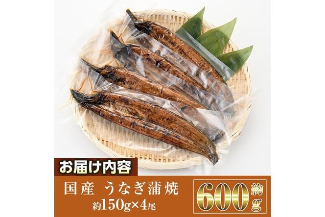 国産 うなぎ 蒲焼 (約150g×4尾) 鰻 タレ かば焼き うな重 うな丼 ひつまぶし 小分け 真空包装 真空パック 【AW-94】【丸正水産】
