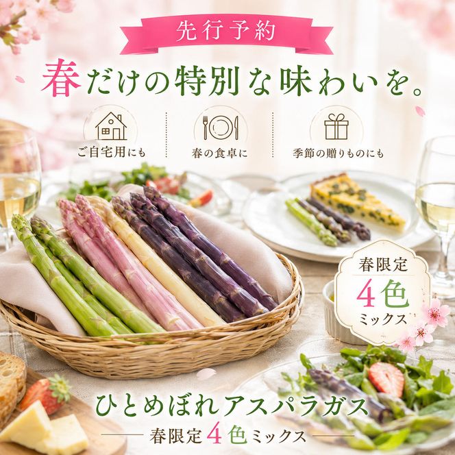 【先行予約】春限定 ひとめぼれアスパラガス 1kg 4色 食べ比べ グリーン パープル ピンク ホワイト 産地直送 農家直送 野菜 新鮮 旬 アスパラ 春野菜 サラダ カラフル バーベキュー BBQ おすそ分け ファミリー 大容量 ギフト 送料無料