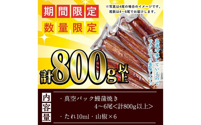【訳あり・数量限定】復活！不揃いのうなぎ達 計800g以上(鹿児島県産 鰻の蒲焼き) b2-040