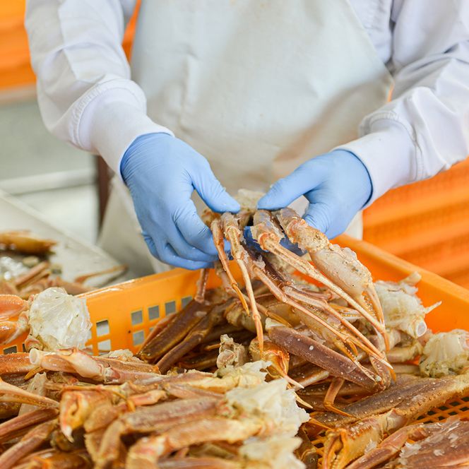 ボイル たらばがに 0.8kg（総重量 1kg ） 特大 5L シュリンクパック カジマ たらば蟹 タラバガニ たらばがに かに カニ 蟹