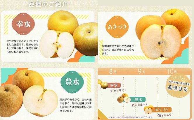 【2026年先行予約】紀州和歌山県産の梨 約2kg 5～7玉 化粧箱入 魚鶴商店《8月中旬-9月上旬出荷》和歌山県 日高川町 和歌山県産 梨 なし ナシ 贈り物 ギフト---wshg_uot65_8c9j_24_15000_2kg---