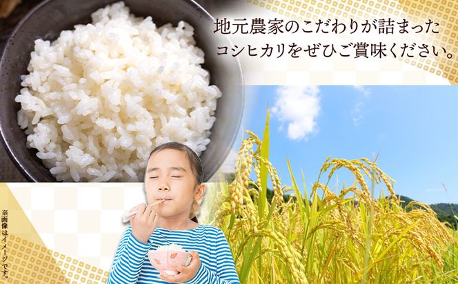 令和7年産 無洗米 コシヒカリ 計約9kg cs-0004
