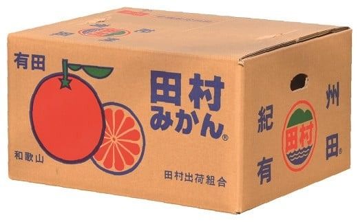 田村みかん 5kg 秀品【大玉サイズ】/紀州和歌山有田郡湯浅町田村地区産 ◆2025年11月下旬～2026年1月中旬頃に順次発送(お届け日指定不可)　紀伊国屋文左衛門本舗【kztb305B】