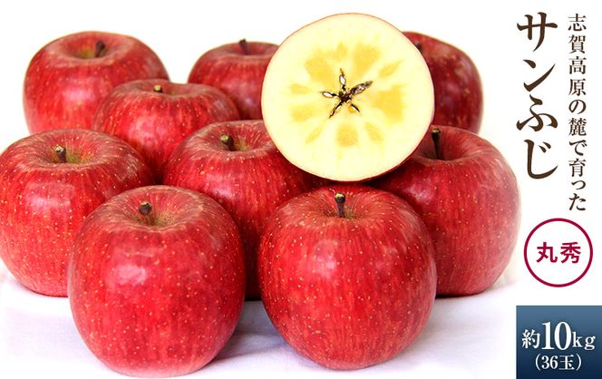 【2026年発送】志賀高原の麓で育った サンふじ 丸秀36玉 約10kg りんご 10kg フルーツ 果物 デザート 長野