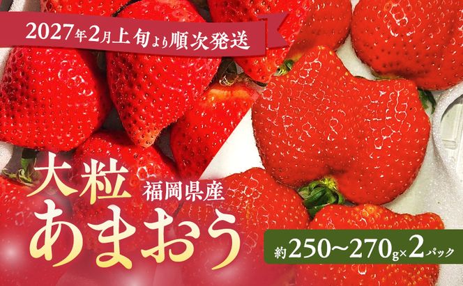 あまおう 【2027年2月上旬より順次発送】大粒あまおう 2パック イチゴ 苺 いちご 果物 福岡県産 ※配送不可:離島