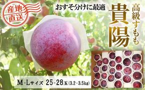 ※数量限定【2026年発送分】貴陽 大箱（M～Lサイズ）２５～２８玉（3.2～3.5kg）　すもも プラム スモモ 李 くだもの 果物 山梨 やまなし フルーツ 産地直送 富士川町