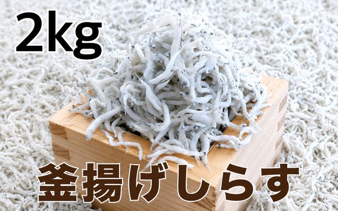 釜揚げしらす2kg(500g×4パック) / シラス 厳選 小分け 冷蔵便【dig014A】
