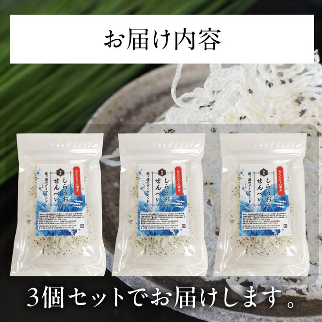 【2026年4月下旬より順次発送】カルシウム しらうおせんべい 3個｜せんべい 煎餅 おやつ しらうお カルシウム タンパク質 ミネラル 煮干し 茨城県 行方市(CU-342)