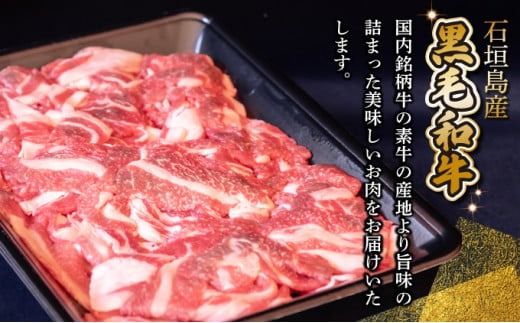 【順次配送】担当者イチオシ!! 石垣島産《黒毛和牛》切り落とし 1kg （500g×2） | お肉 肉 牛肉 冷凍 和牛 牛肉 冷凍 人気 おすすめ 国産 国産牛 小分け 八重山食肉センター YC-4