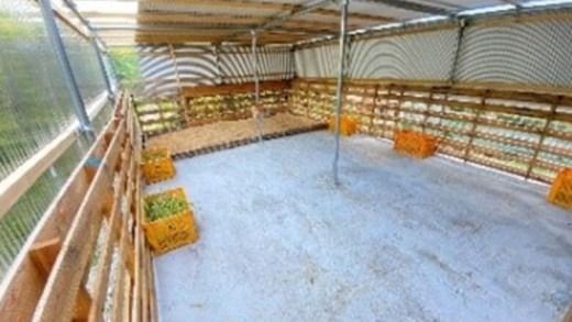 【体験型返礼品】ペットヤギ牧場バックヤードツアー（来場/3時間/2名）