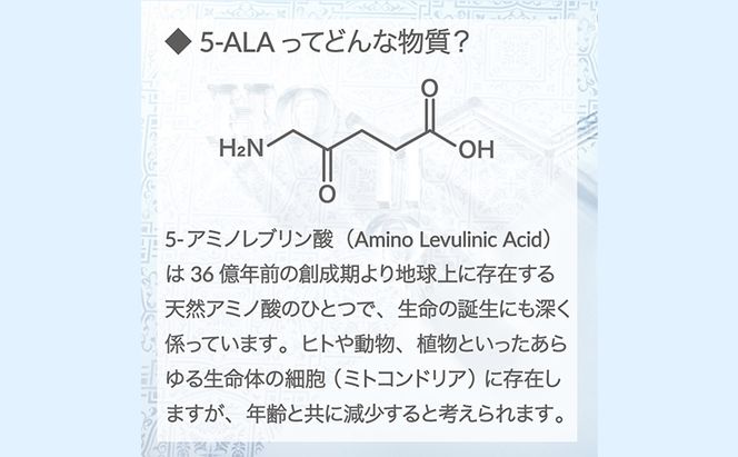 アラヴァイタル（5-ALAサプリメント）30粒入り おまとめ8個セット アミノ酸 美容 天然アミノ酸 亜鉛 鉄