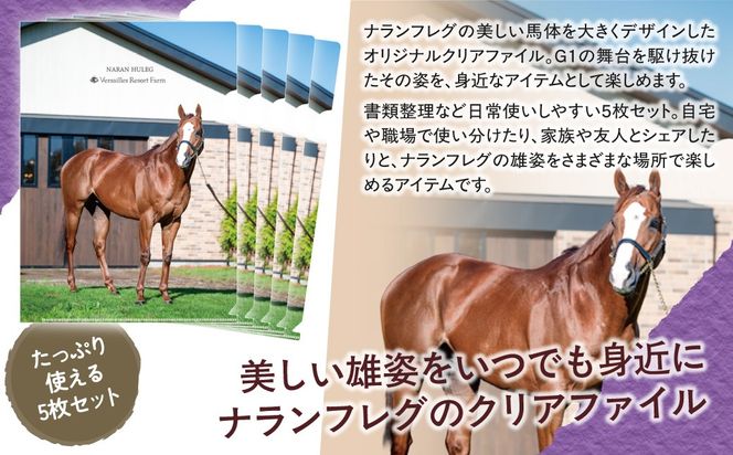 【ナランフレグ】クリアファイル5枚入り BRTV354