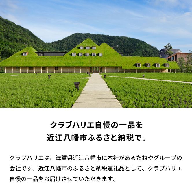 【クラブハリエ】バームクーヘンｍｉｎｉ　１２個入 シェアボックス 個包装【FC06W】