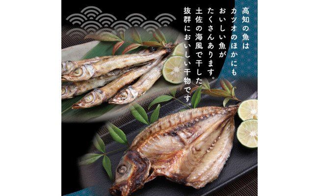 【CF-R7hbk】SST002　高知の海の干物たち＜土佐の海風で干した抜群の干物を＞＜高知市・南国市共通返礼品＞