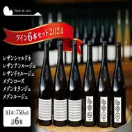 テールドシエル ワイン 750ml 6本 セット 赤ワイン 白ワイン 酒 アルコール ギフト プレゼント