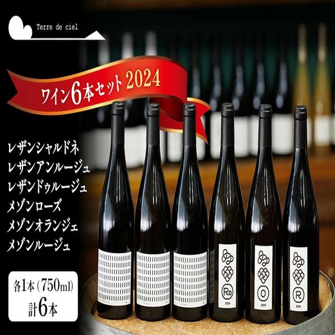 テールドシエル ワイン 750ml 6本 セット 赤ワイン 白ワイン 酒 アルコール ギフト プレゼント
